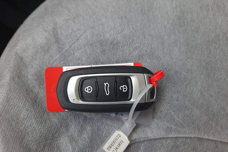 Used Geely Galaxy Panda 2024 Panda Mini 200km Endurance Bear Vehicle Key