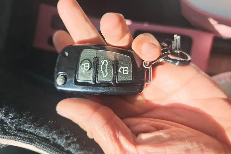 Used Chery QQ Ice Cream 2022 120km Conical Shape Lithium Iron Phosphate