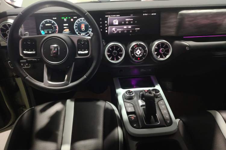 Used Tank 300 2021 City Edition 2.0T—Truly Stylish