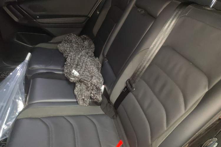 Used Volkswagen Tiguan L 2021 330TSI Automatic Two-Wheel Drive R-Line Enhanced Edition
