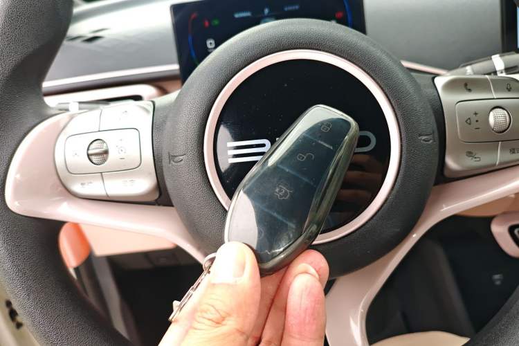 Used BYD Seagull 2023 Active Version