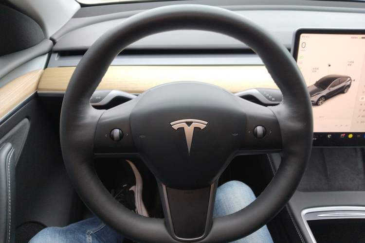 Used Tesla Model Y 2022 Rear-Wheel-Drive Version

