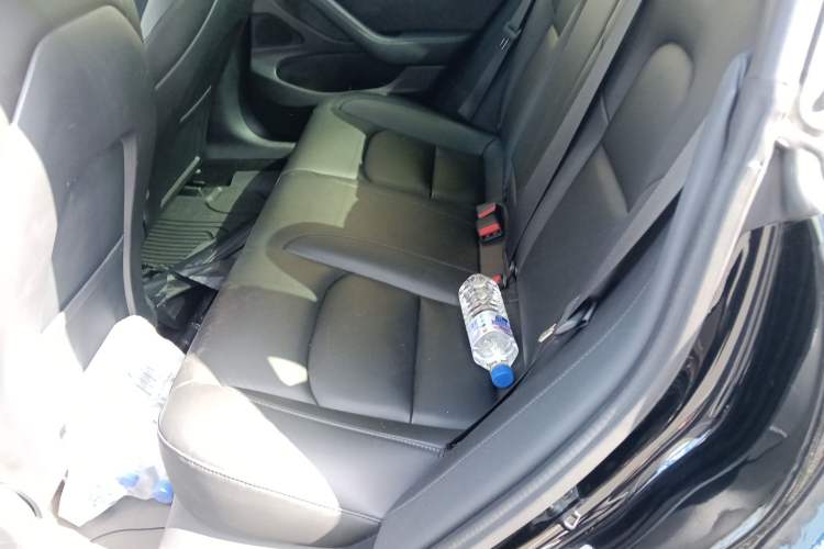 Used Tesla Model 3 2019 Standard Range Rear-Drive Upgraded Version Left Rear Seat