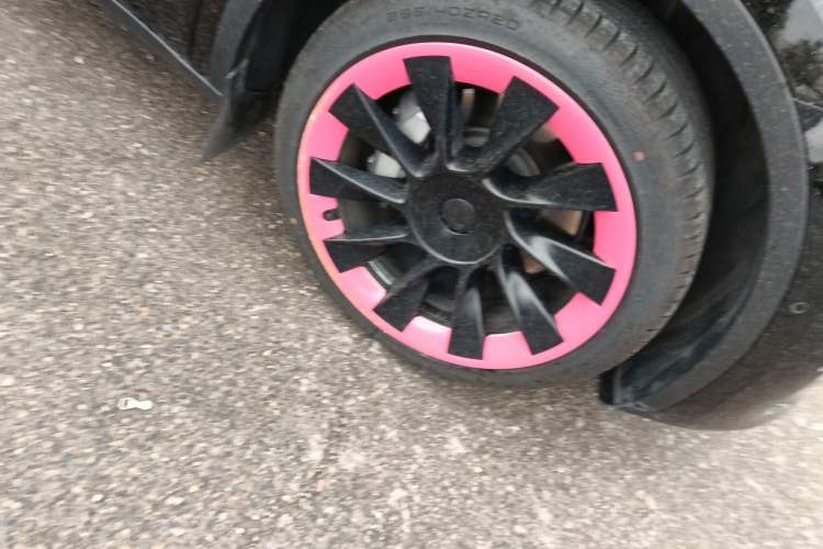 Used Tesla Model Y 2022 Long-Range All-Wheel-Drive Version
