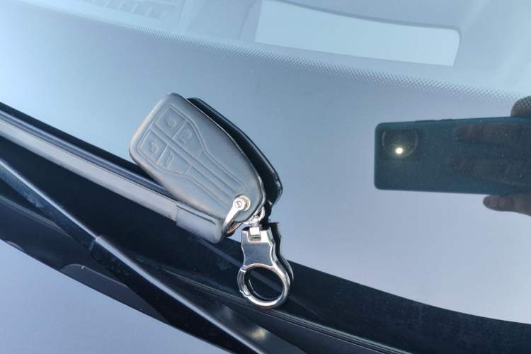 Used Hongqi HS5 2019 2.0T Smart Connect Flagship Edition
