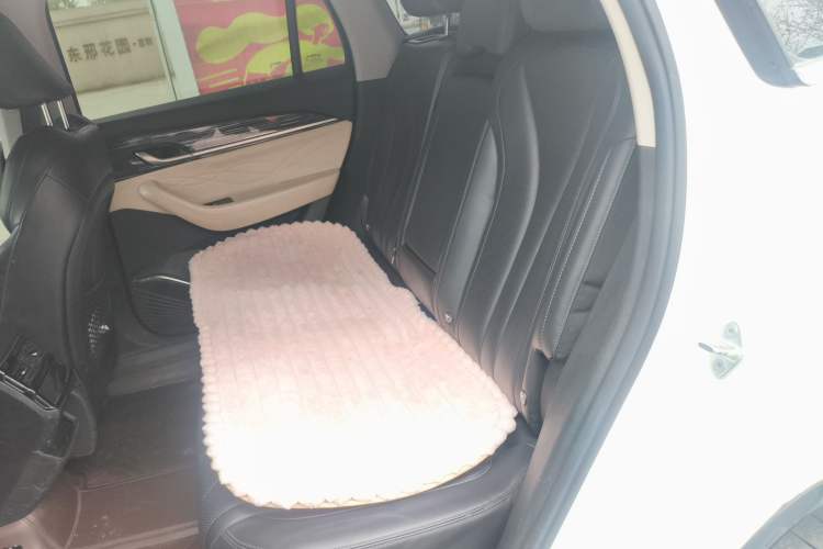 Used Geely Auto Monjaro L 2023 2.0TD High-Power Automatic Two-Wheel Drive Flagship Version