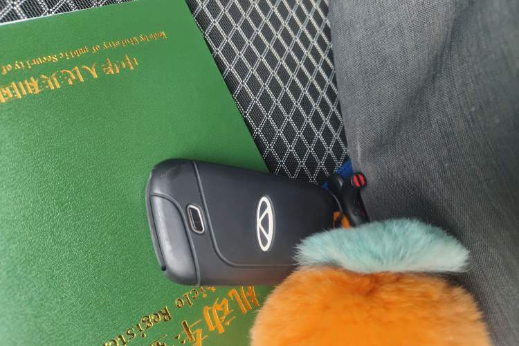 Used Chery Little Ant 2021 200 000 Yuan Ant Fan Edition Energized Version Lithium Iron Phosphate 301 km