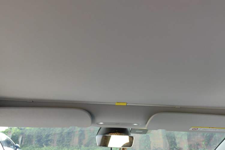 Used Tesla Model 3 2025 Rear-Wheel-Drive Version Headliner