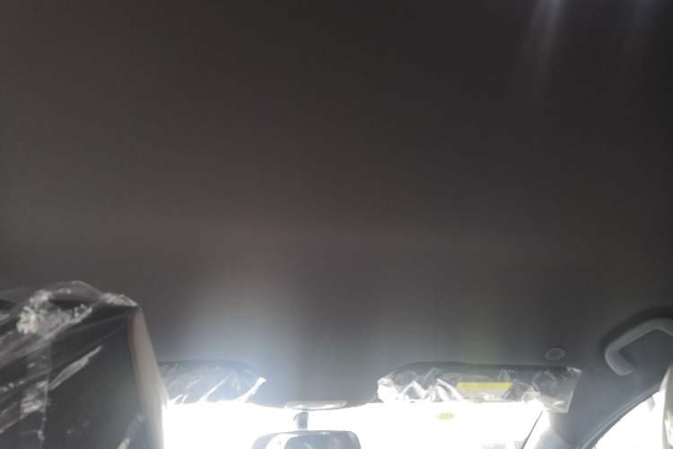 Used BYD Dolphin 2025 420km Free Edition Headliner