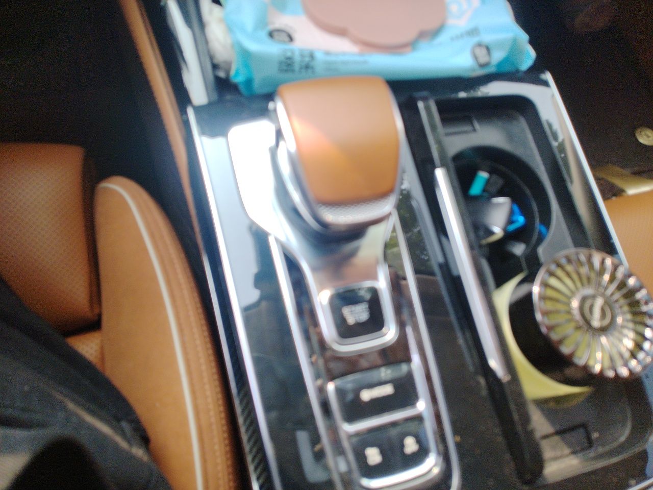 Hongqi H9 2024 2.0T Qichang Private Enjoyment Luxury Edition — снимка 14