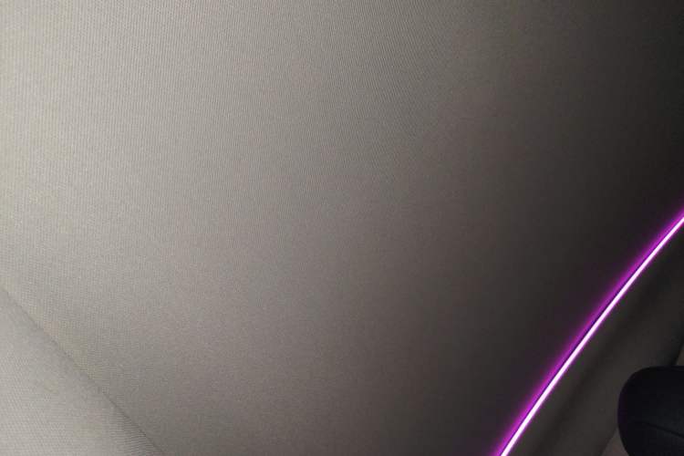 Used Tesla Model Y 2023 Rear-Wheel-Drive Version Headliner