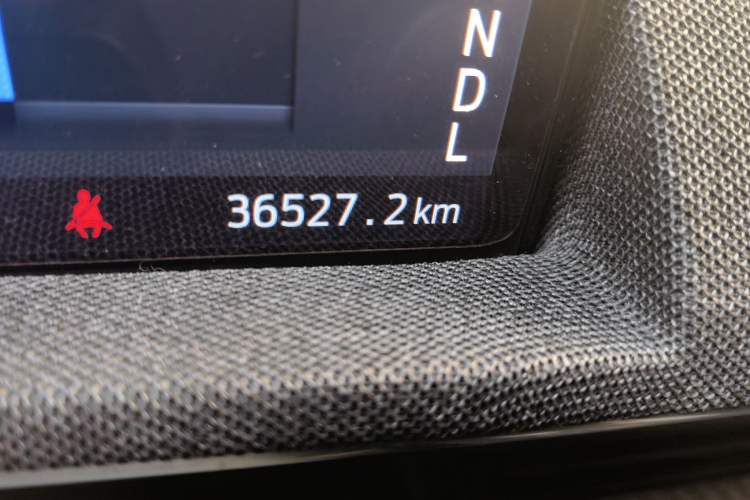 Used Ford Mustang Mach-E 2021 AION Y Plus Rear-Drive Luxury Edition (Long Range)
