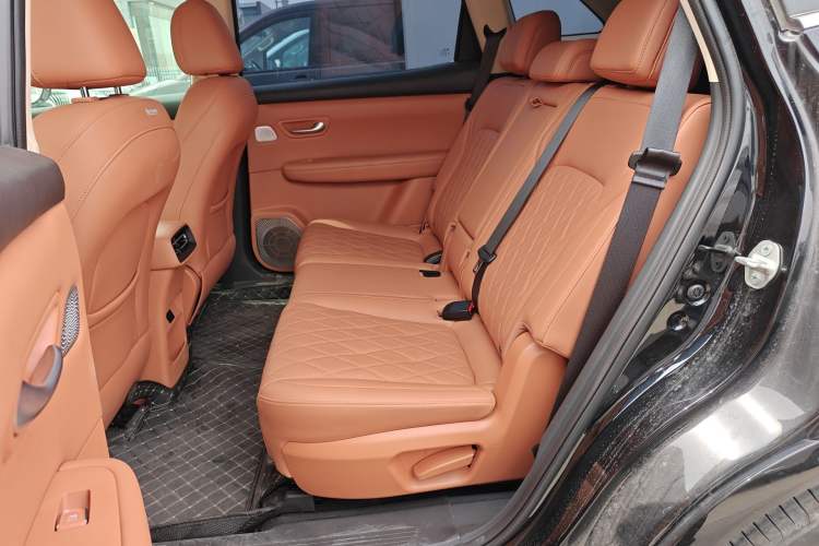 Used Landian E5 PLUS 2025 165 km Long-Range Version 7 Seats
