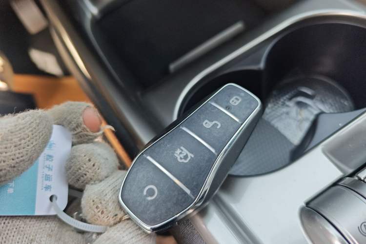 Used BYD Dolphin 2025 420km Free Edition Vehicle Key