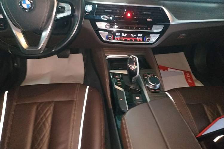 Used BMW 5 Series 2019 530Li xDrive Luxury Package
