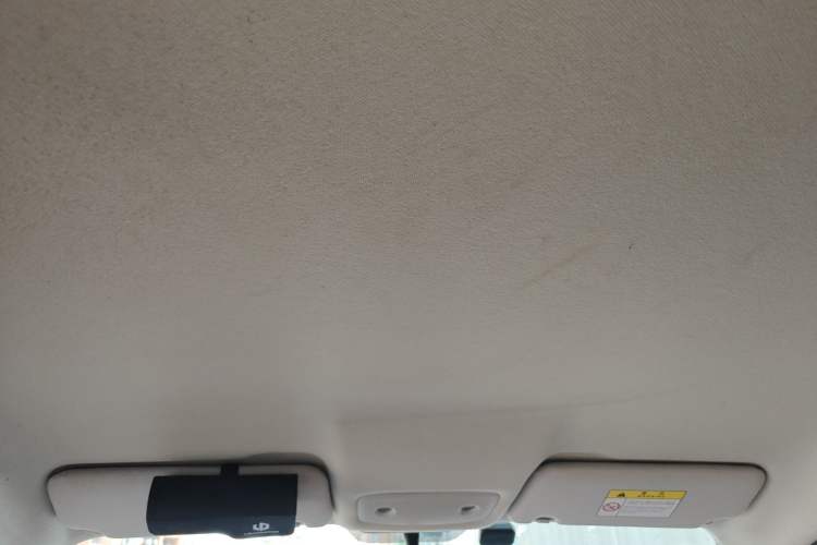 Used Leapmotor T03 2021 400 Lite Edition Lithium Iron Phosphate Headliner