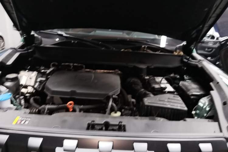 Used Haval Raptor 2025 2.0T 4WD Ultra
