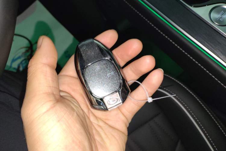 Used GAC Trumpchi GS8 2025 Linghang Series 2.0 TGDI Two-Wheel-Drive Luxury Edition 5 Seats
