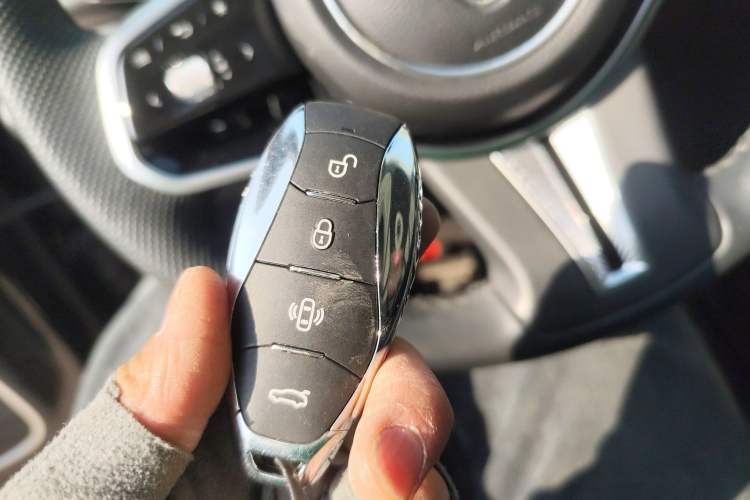 Used Hongqi HS7 PHEV 2024 2.0T PHEV Four-Wheel Drive Flagship Edition 6 Seats
