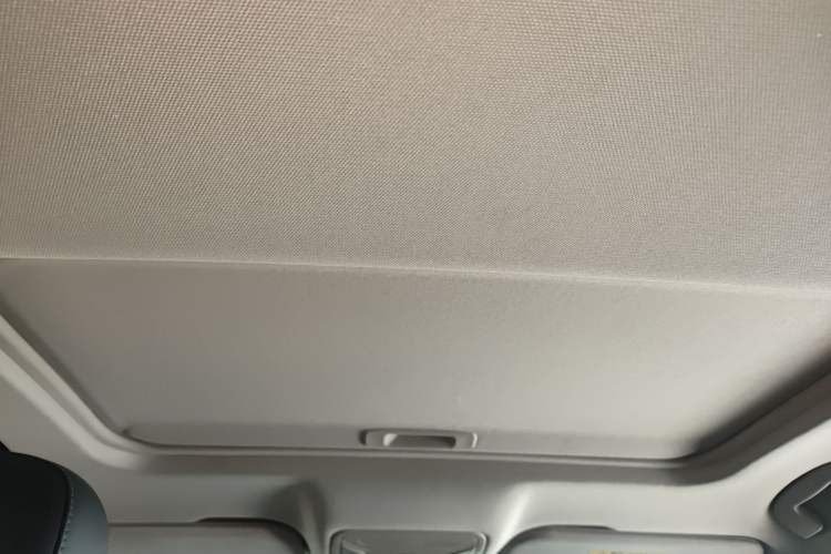 Used Hongqi H5 2020 1.5T DCT Flagship Edition Headliner