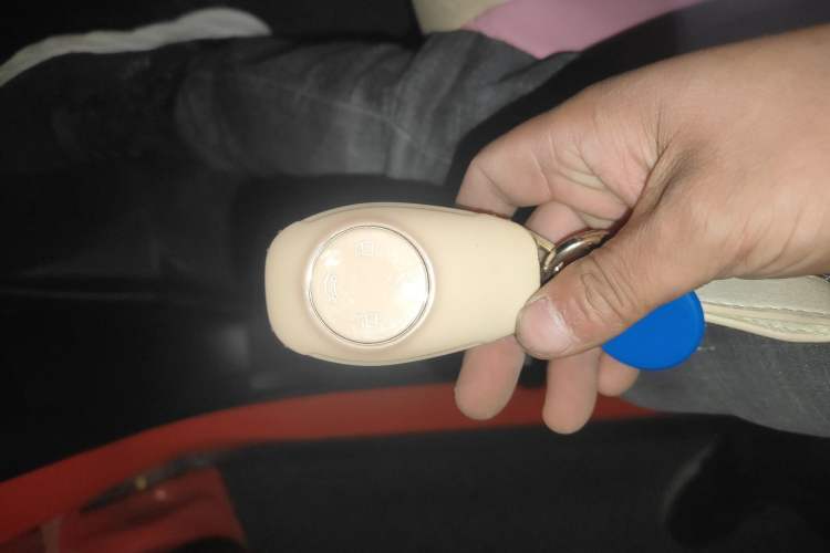 Used Leapmotor T03 2021 400 Micro-Sugar Version Vehicle Key