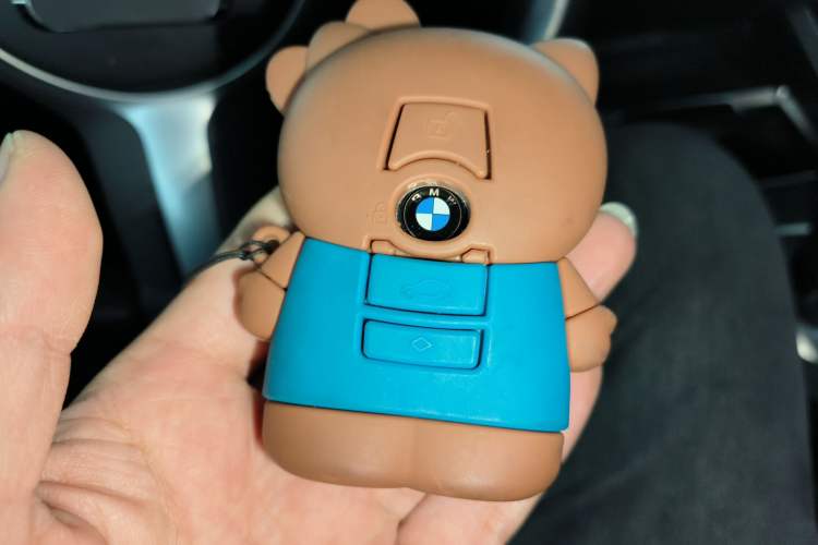 Used BMW 2 Series 2019 225i Convertible Coupe Luxury Edition M Sport Package
