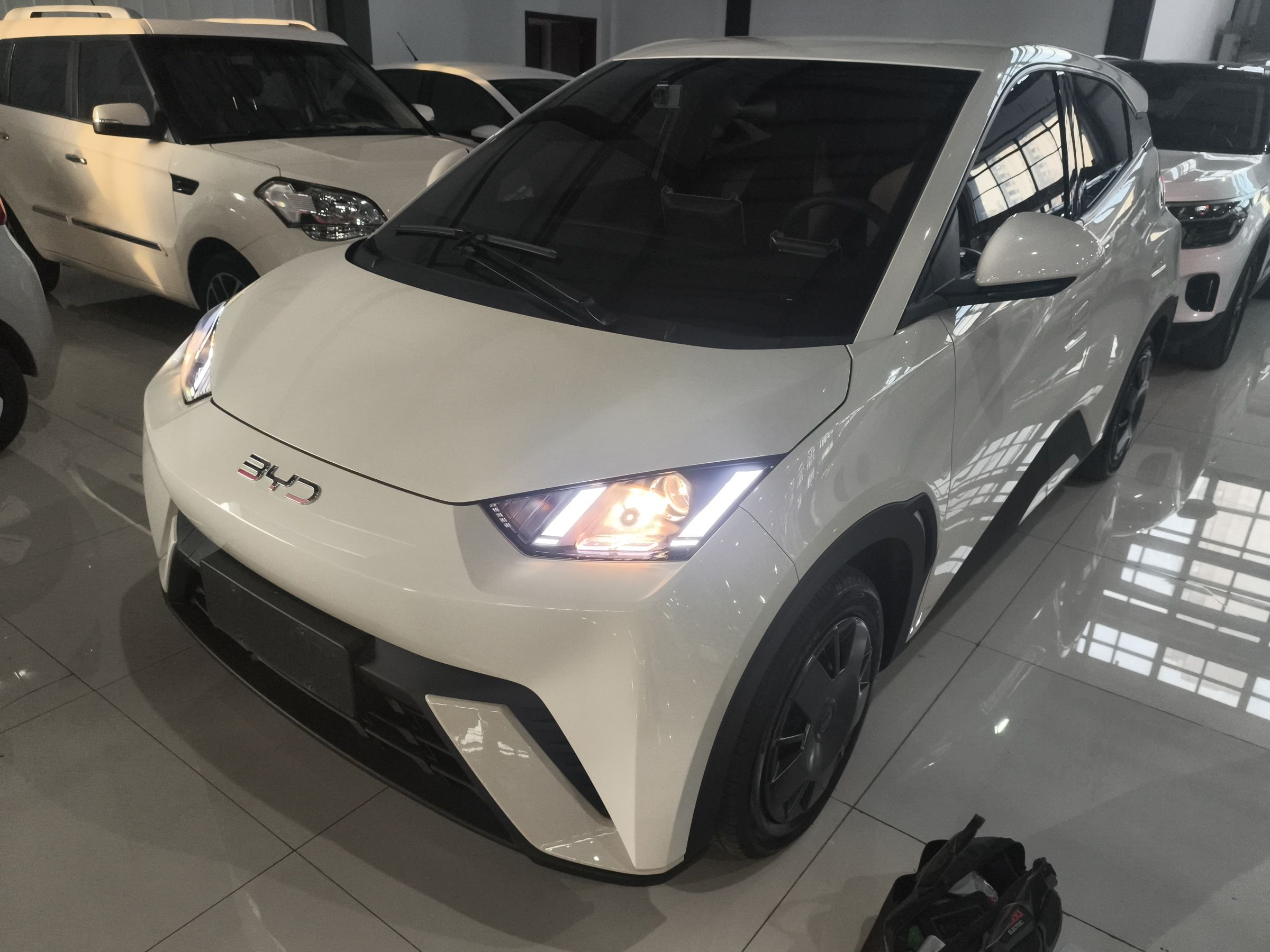 Parte inferior delantera