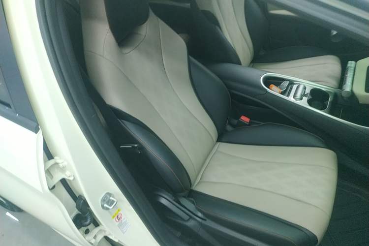 Used BYD Dolphin 2025 420km Free Edition Right Front Seat