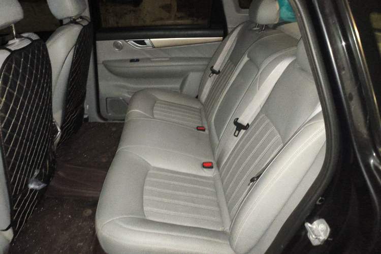 Used Denza 2018 450 Base Version