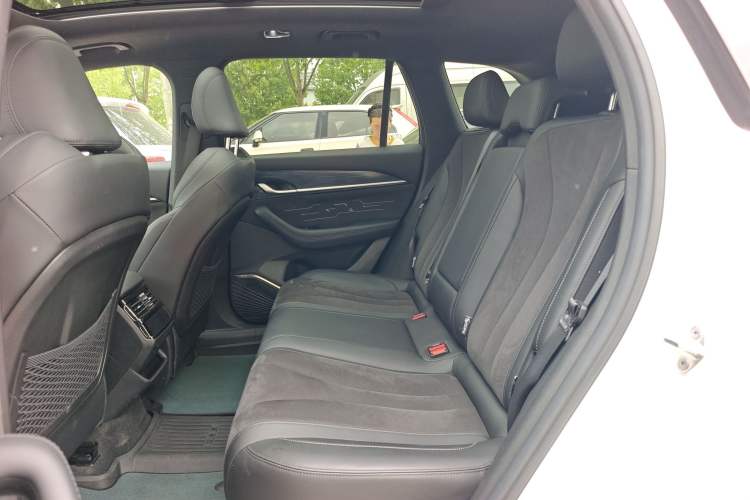 Used Geely Auto Monjaro L 2024 2.0TD High-Power Automatic Two-Wheel Drive Skyline Edition Left Rear Seat