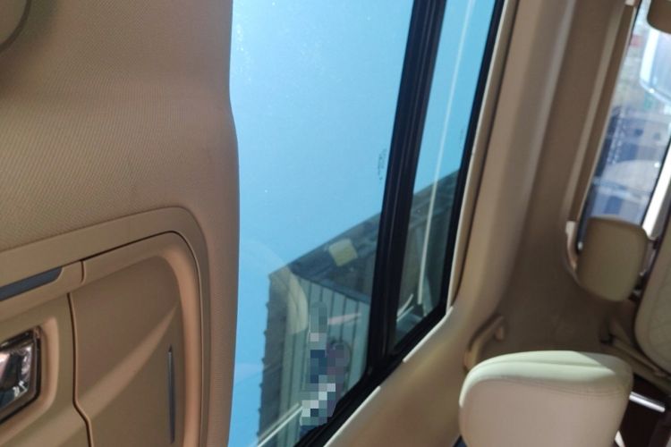 Used ORA Good Cat 2022 Morandi Edition 400km Standard Range Premium Version Lithium-Ion Battery Headliner