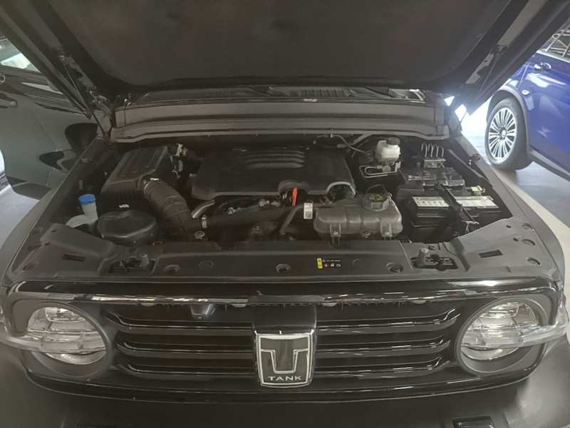 Used Tank 300 2024 2.0T Conqueror — 19
