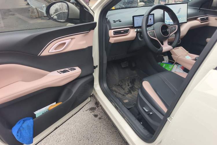Used BYD Seagull 2025 Smart Drive Version 305 km Freedom Edition
