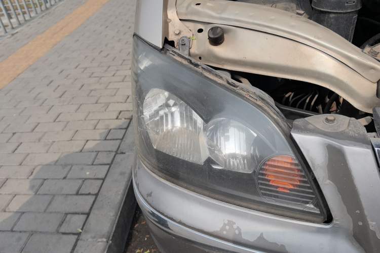 Used FORTHING Lingzhi 
