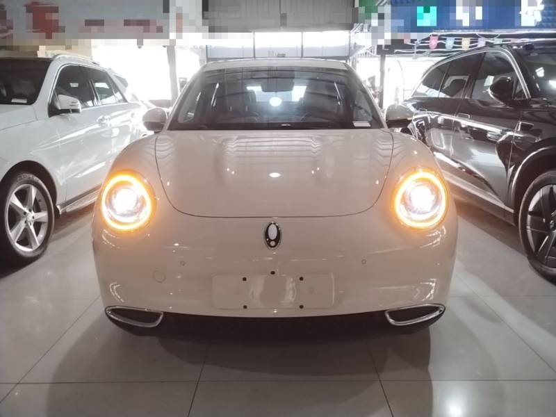 Used ORA Good Cat 2021 400km Standard Range Athena Edition Lithium-Ion Battery — 2