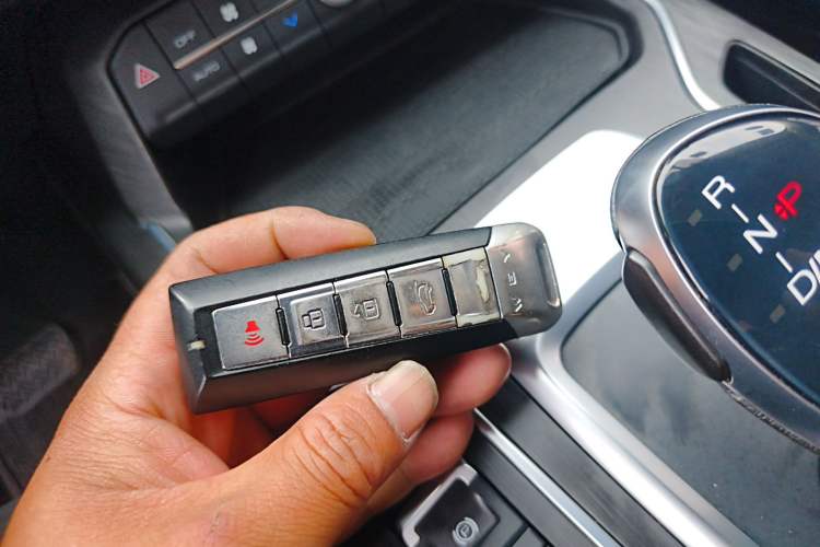 Used Wey VV5 2020 1.5T Two-Wheel Drive Color Pioneer