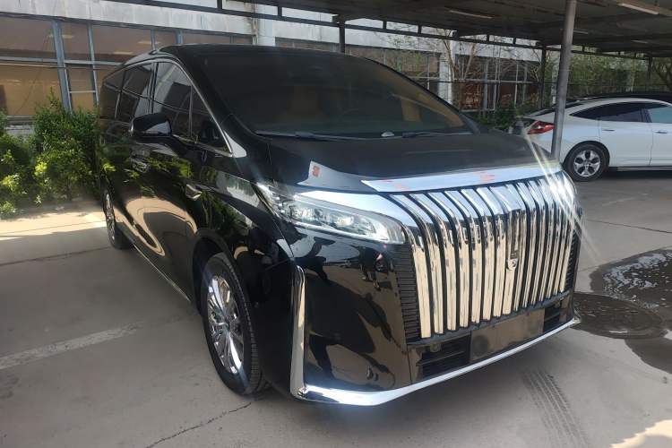 Used Wey Gaoshan 2023 Four-Wheel-Drive Executive Extended Version Exterior 1