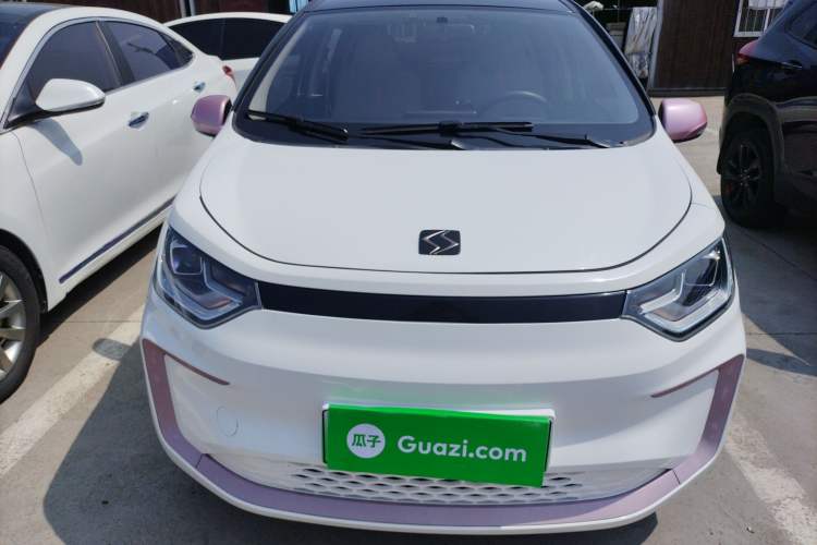 Used SOL E10X 2022 Flower Fairy Design Dandelion