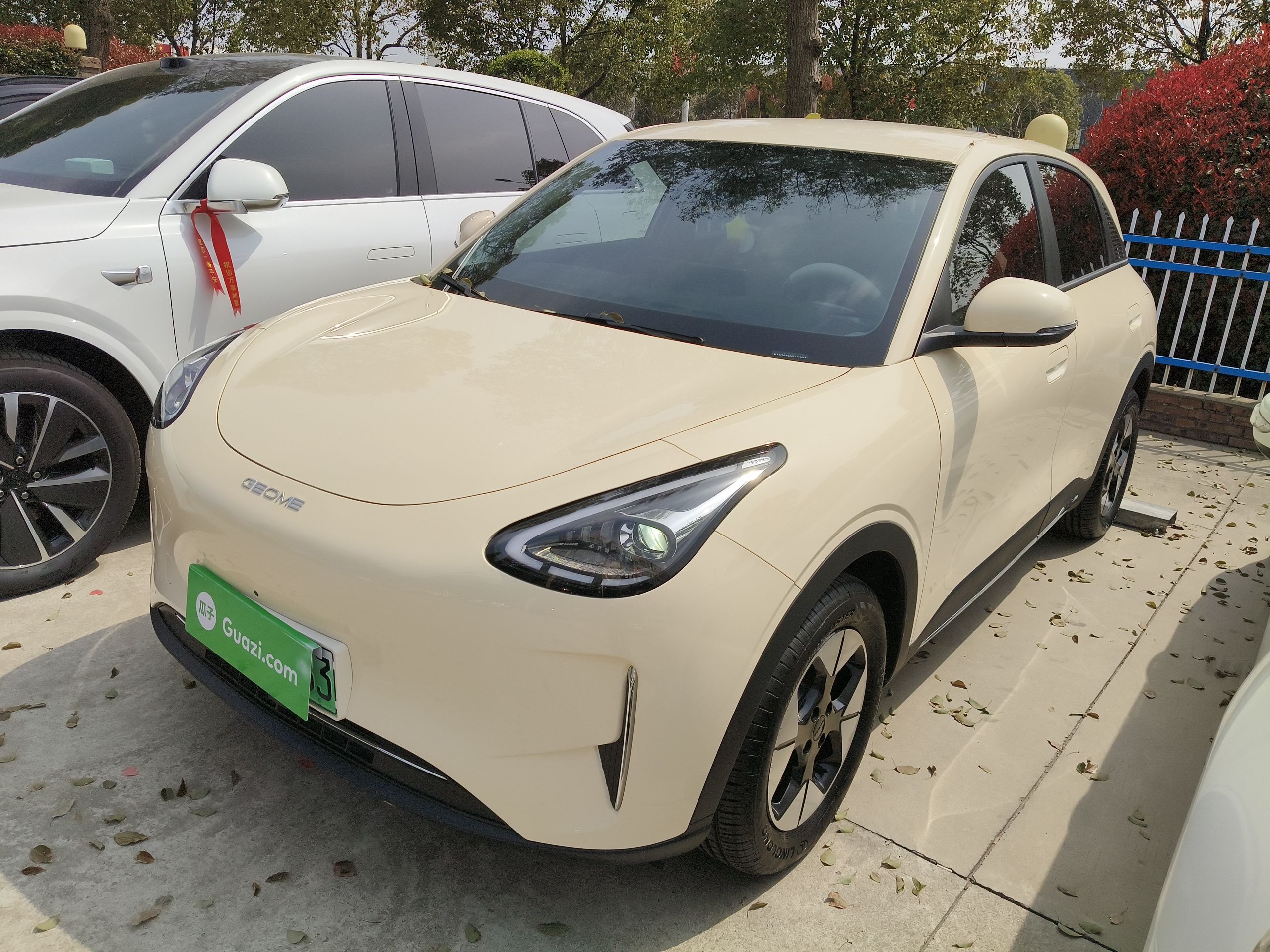 Parte inferior delantera