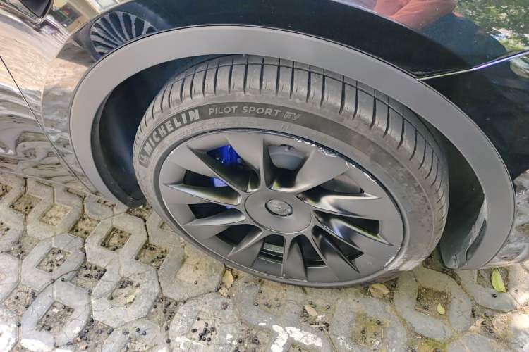 Used Tesla Model Y 2021 Standard Range Rear-Wheel Drive Version
