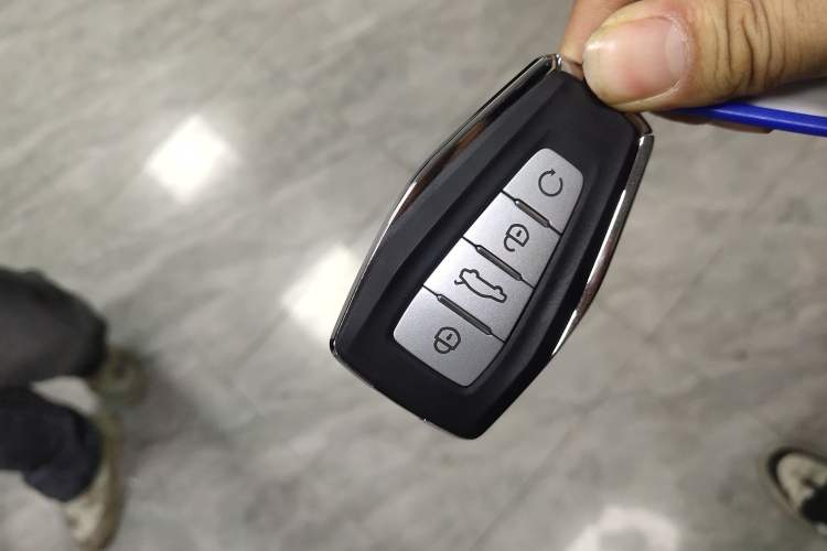 Used Geely Auto Monjaro L 2024 2.0TD High-Power Automatic Two-Wheel Drive Skyline Edition
