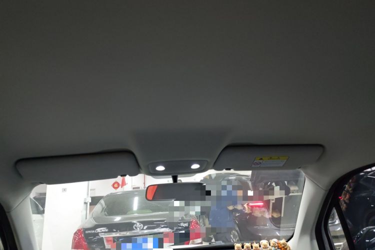 Used Leapmotor T03 2023 200 Lite Edition Headliner