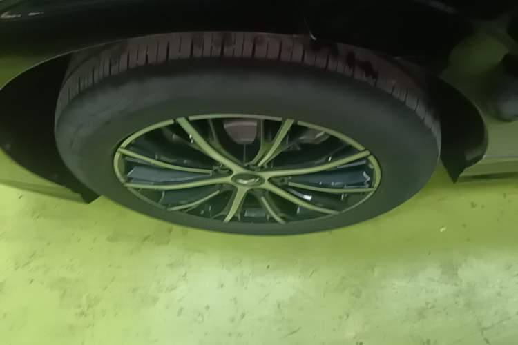 Used VOYAH PASSION 2024 PHEV Four-Wheel Drive Ultra-Long Range Executive Edition