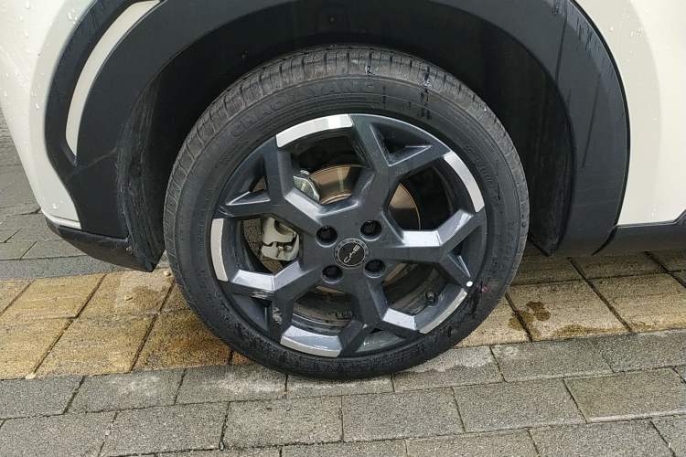 Used BYD Seagull 2025 305 km Free Version