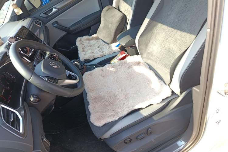 Used Volkswagen T-ROC 2025 Facelift Model 2 300TSI DSG Two-Wheel Drive Chenguang Edition Left Front Seat