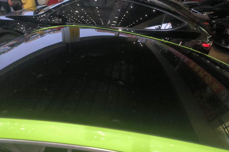 Used XPeng P7 2020 670N Roof