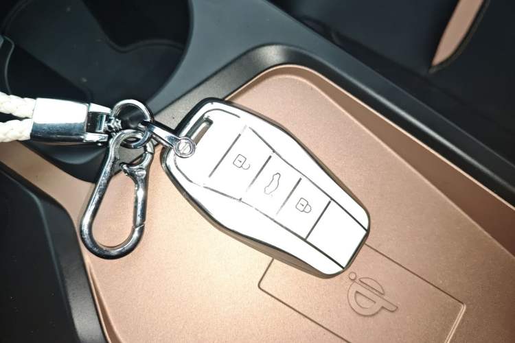 Used SOL E10X 2022 Flower Fairy Design Four-Leaf Clover Interior 1