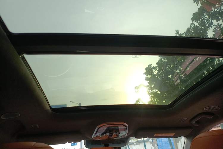 Used Wey Lanshan 2023 Four-Wheel Drive Ultra-Long Range Version Headliner