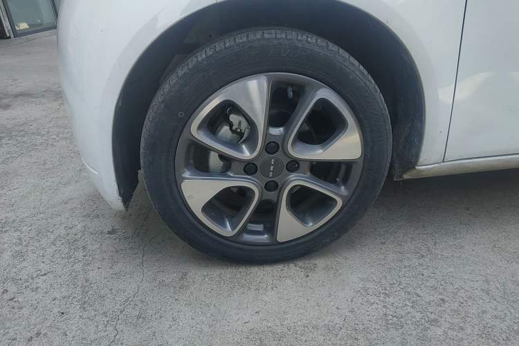 Used ORA White Cat 2020 305 km Luxury Version