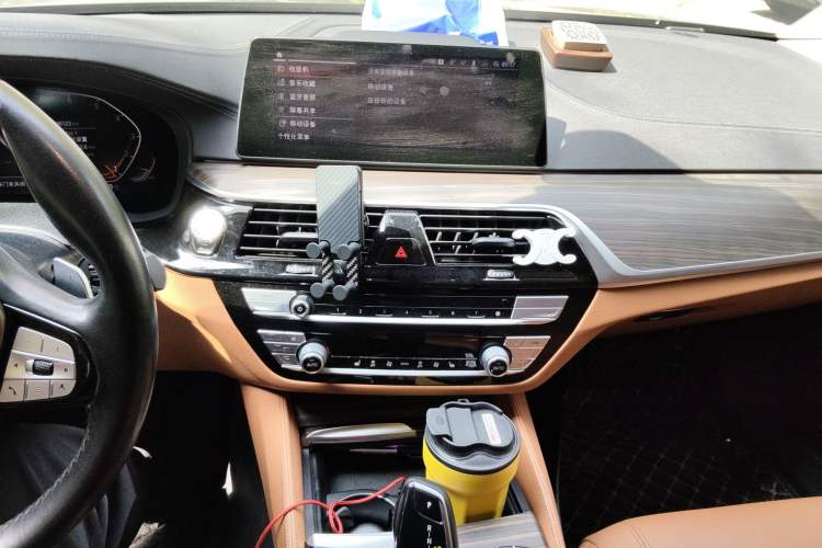 Used BMW 5 Series 2020 530Li Leading Edition Luxury Package